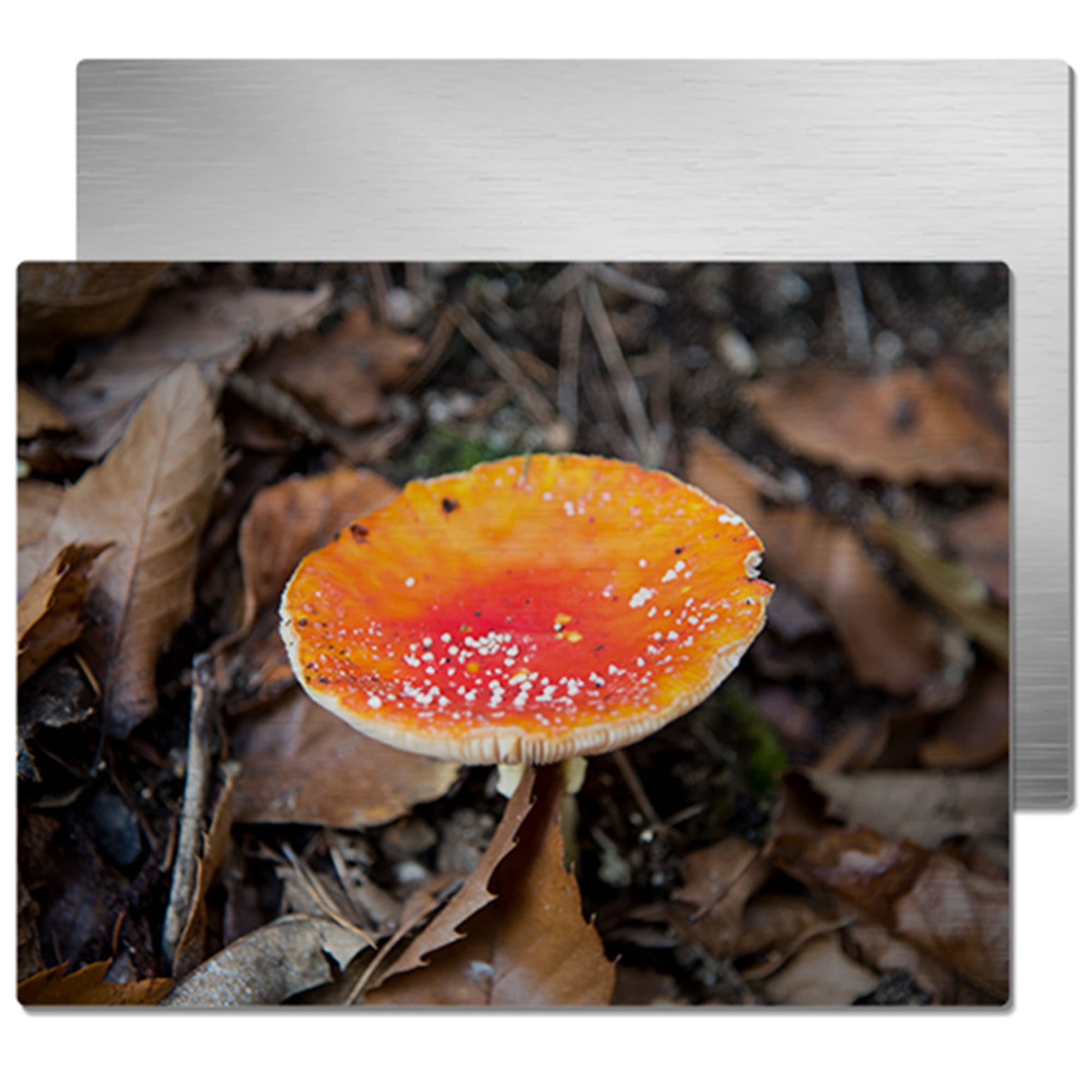 Hliníkový fotopanel ChromaLuxe, kartáčovaná stříbrná, 150 x 200 x 1,15 mm, zaoblené rohy, 10 ks/karton