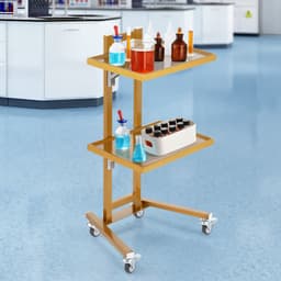 Nerezové laboratorní vozíky se 2 úrovněmi, laboratorní vozík se 2 podnosy, mobilní lékařský vozík se 4 tichými kolečky, pojízdný laboratorní vozík pro laboratoř, kliniku, nemocnici, salon, zlatý - miniatura 1
