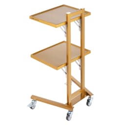 Nerezové laboratorní vozíky se 2 úrovněmi, laboratorní vozík se 2 podnosy, mobilní lékařský vozík se 4 tichými kolečky, pojízdný laboratorní vozík pro laboratoř, kliniku, nemocnici, salon, zlatý - miniatura 4