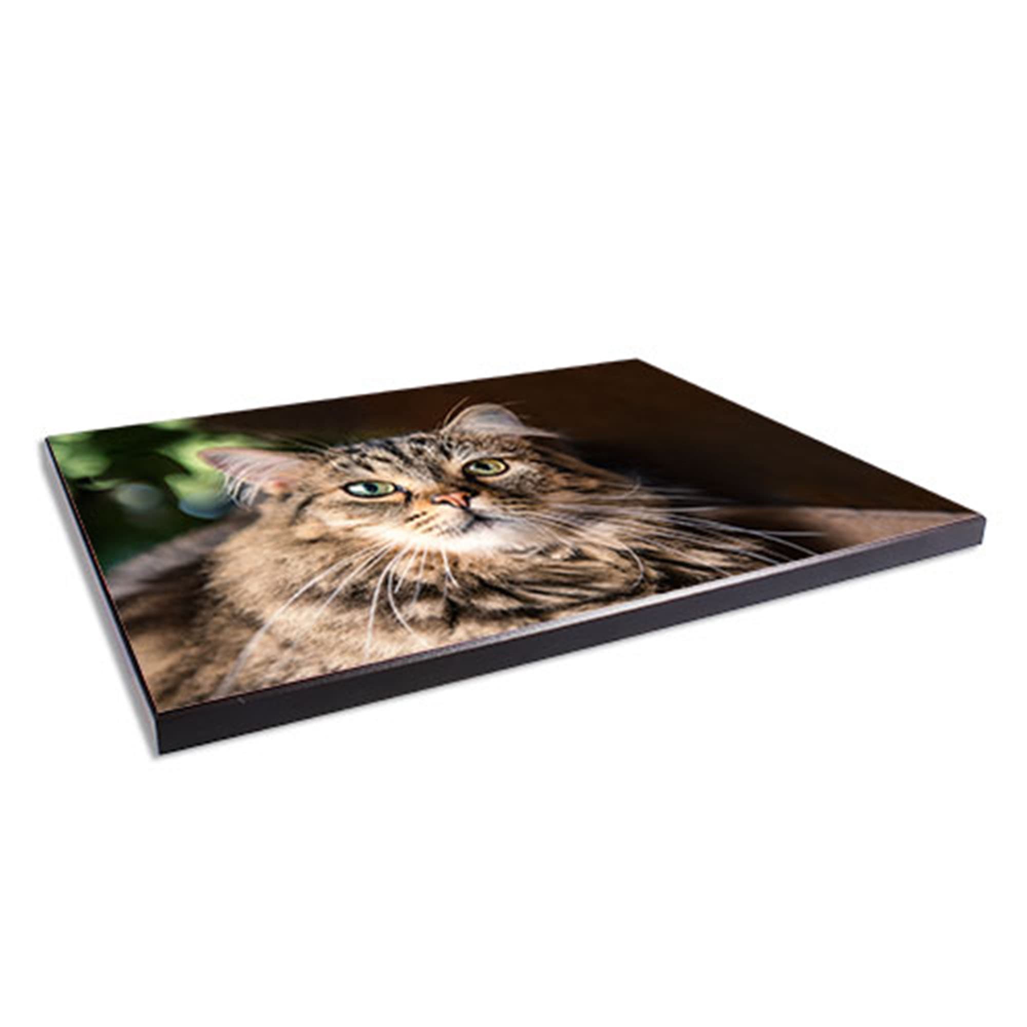 Nástěnný panel ChromaLuxe leskle bílý, 180 x 270 x 16 mm, barva rámu černá, 10 ks/balení