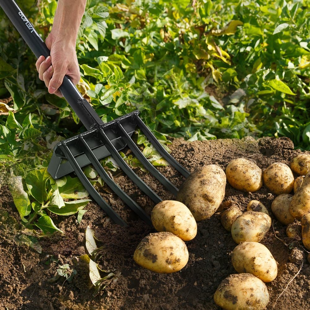 Zahradní vidle, 5hroté zahradnické vidle s kovovou rukojetí, 41palcové odolné rycí vidle s Y-úchopem, kované ocelové rýcí vidle na seno, kompostování brambor, přesazování, provzdušňování
